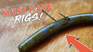 Bass Fishing 101 5 Bass Fishing Rigs You NEED to KNOW [upl. by Aikim]