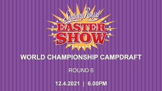 World Championship Campdraft  Round 6 [upl. by Garnes208]