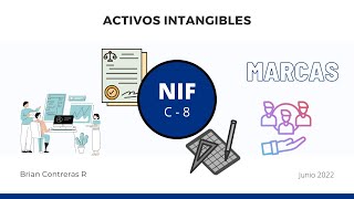 Activos Intangibles NIF C8 [upl. by Lowney]