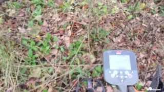 Metal Detecting Tips and Tricks  CTX 3030 [upl. by Coulombe]