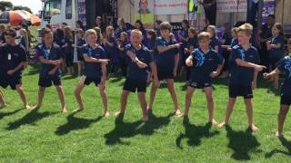 Kapanui School Kapa Haka 2017 [upl. by Nrol443]