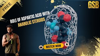 Role of Aspartic Acid with Anabolic Steroids  Sports Nutrition  FREE Education [upl. by Dhu]