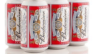 The Real Reason Budweiser Is Bombing [upl. by Novick]