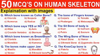 MCQ on Human Skeleton System  MCQS Quiz on Skeleton  Bones  Mcq on skeletal system aiims [upl. by Esiled441]