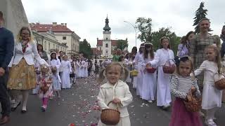 Procesja Bożego Ciała Zamość 2023 Boże Ciało Zamość 20230608 Msza procesja ołtarze zamojski rynek [upl. by Reyotal232]