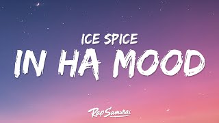 Ice Spice  In Ha Mood Lyrics [upl. by Aissatsan]