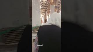 Raudamedinahraudatuljannah umrahtravelалматыislamworlddeen [upl. by Eux]