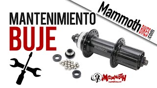 Cómo hacer el mantenimiento y ajuste de un Buje básico de Bicicleta [upl. by Nhepets317]