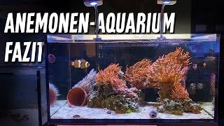 Fazit zum ANEMONENAQUARIUM  PlanktonPlus Aquaristik [upl. by Itoyj]