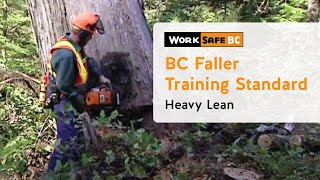 BC Faller Training Standard  Heavy Lean 12 of 17 [upl. by Nywra]