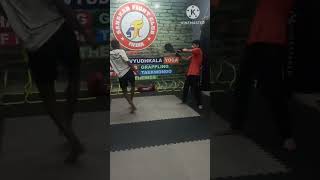 360 kick🔥 Vs Snap Kick With Round Kick Taekwando Mix Martial Art Practice By SFC Warrior KaranShort [upl. by Sand]