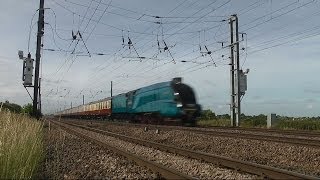 Bittern at 90mph  High Speed Steam Train [upl. by Donielle]