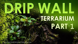 How I Built the DripWall Terrarium 10G  Part 1 [upl. by Arries]