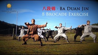 八段锦 · Ba Duan Jin 8 Brocade Exercise Qi Gong [upl. by Tristis952]