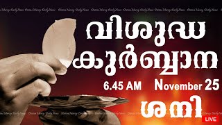 Holy Mass I Malayalam Mass I November 25 I Saturday I Qurbana I 645 AM [upl. by Hayila178]