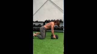 Quadruped Banded Db Row [upl. by Mohammed773]