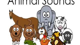 Animal Sounds Names for Children Kids Kindergarten Preschoolers Toddlers Animals Sound Effects [upl. by Gavan314]