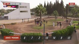 Live Hippodrome « SETTAT »  Courses du « 17082024 » [upl. by Lenaj434]