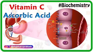 Vitamin C  Ascorbic acid Animation  MetabolismSources Synthesis  functions Scurvy [upl. by Yelsnya]