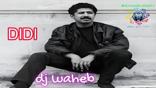 الشاب خالد  ديدي  DJ WAHEB  2024  CHEB KHALED  DIDI [upl. by Andriette]