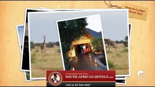 Shibula Lodge Welgevonden Game Reserve [upl. by Coltin]