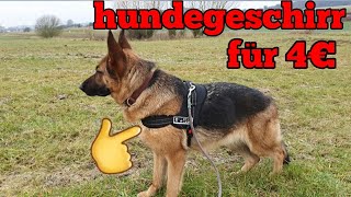 Hundegeschirr für 4 Euro beim Action gekauft [upl. by Henrik]