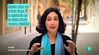 Inteligencia emocional  Comportamiento animal  Elsa Punset Redes RTVE [upl. by Rehtae]