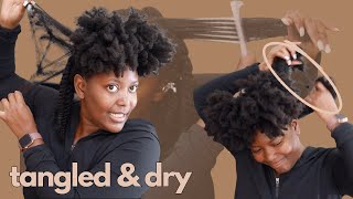 ITS NEVER BEEN THIS BAD BEFORE Detangling Dry Matted Natural Hair  Life Update [upl. by Lesna]