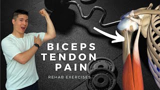 Biceps Tendinopathy Rehab Exercises [upl. by Ahsirpac]