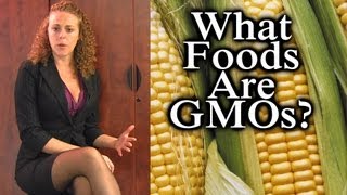 GMO Foods How To Tell Truth About Genetically Modified Foods amp Label GMO Psychetruth Nutrition [upl. by Aihsined]