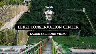 The Lekki Conservation Centre Lekki Lagos Nigeria 4k Drone [upl. by Ebeneser]