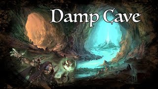 DampD Ambience  Damp Cave [upl. by Pierpont170]