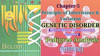 Class 12 genetic Disorder জীনগত রোগ theory fromncertbiology Harunbiozone [upl. by Gottlieb361]