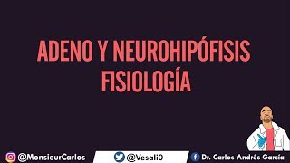 Fisiología  Hipófisis Hormonas Regulación de la Adeno y Neurohipófisis [upl. by Tiebold]