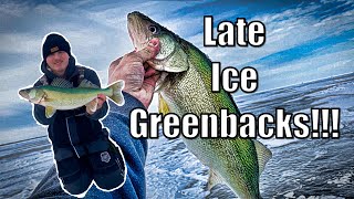 Late Ice Greenbacks on Lake Winnipeg LOST THE BIGGEST WALLEYE OF MY LIFE [upl. by Waylen]