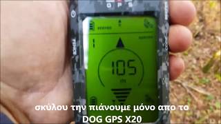 GPS κολάρο για σκύλους και BEEPER  DOG GPS X20 [upl. by Ynaffit]