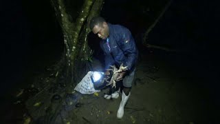 Catching Land Crabs at Night Catch amp Cook🇫🇯 [upl. by Sucam]