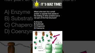 How Proteins are folded [upl. by Notsua]