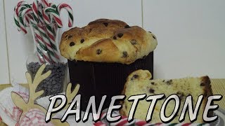 PANETTONE FÁCIL Y ESPONJOSO  Recetas navideñas  Con la masa en las manos [upl. by Annotahs673]