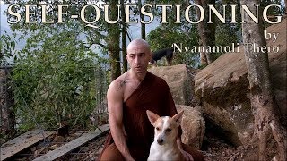 RESPONSIBILITY CAN FREE YOU FROM SUFFERING  by Nyanamoli Thero [upl. by Ynoble]