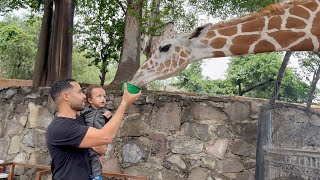 VALIO LA PENA VENIR AQUI  ZOOLOGICO GUADALAJARA [upl. by Azenav64]