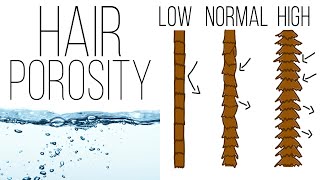 All About Hair Porosity [upl. by Noryd]