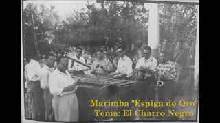 Venustiano Carranza Chiapas Marimba Espiga de Oro quot El Charro Negroquot [upl. by Torbart]