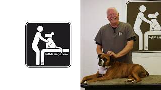 Lethargic Dog Massage [upl. by Neersin]