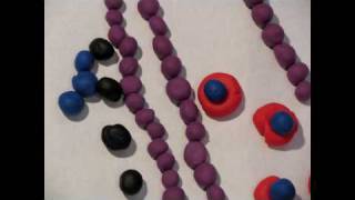 Gas Exchange Claymation [upl. by Aidyn]