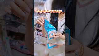 Blindbox Capybara pony unboxing asmrunboxing [upl. by Ij797]