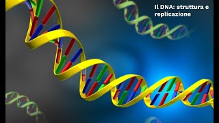 LE SUPERSINTESI DI SCIENZE Il DNA  struttura e replicazione [upl. by Amri]