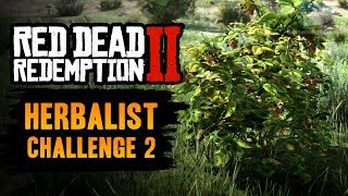 Red Dead Redemption 2 Herbalist Challenge 2 Guide  Pick and eat 4 species of berry [upl. by Pressey]