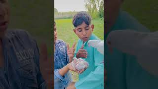 Inke baccho ko inse dur mt kro😢🥹😔 youtubeshorts shorts kabutarlover pigeon birdslover [upl. by Aisad]