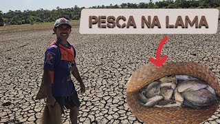 SOBREVIVÊNCIA NA LAMA ELES TIRA PEIXES E CRUSTÁCEOS PARA ALIMENTAR A FAMÍLIA [upl. by Josephina69]